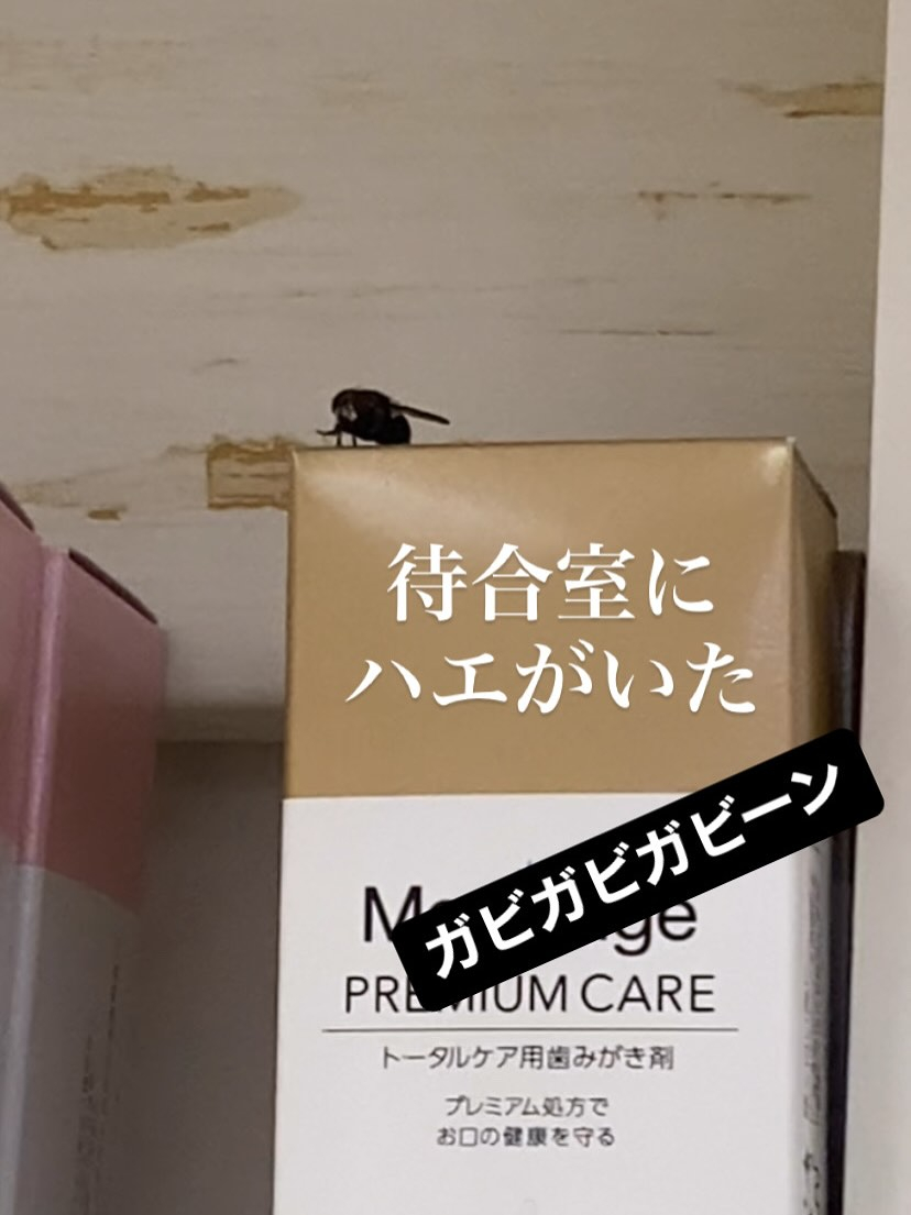 待合室にハエが！！！